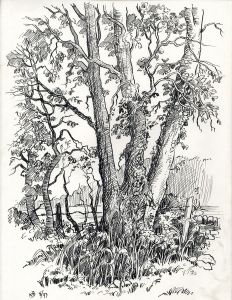 Keith Burtonshaw - 1997 Pen and Ink Drawing, Trees
