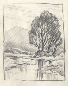 Keith Burtonshaw - Contemporary Graphite Drawing, Landscape with Tree