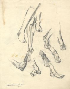 Adrian Cornwell-Clyne MBE FRPS - 1910 Graphite Drawing, Leg Studies