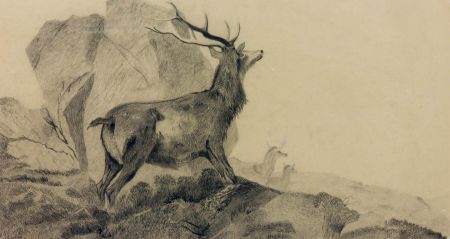 19th Century Charcoal Drawing - Highland Stag