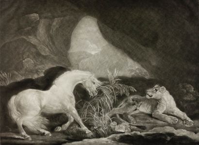 Benjiman Green - 1774 Mezzotint, The Horse and Lioness after George Stubbs