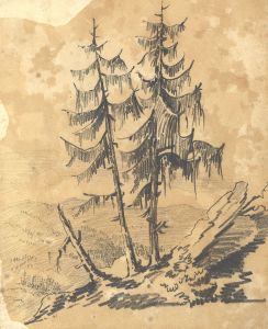 19th Century Graphite Drawing - Tree Study