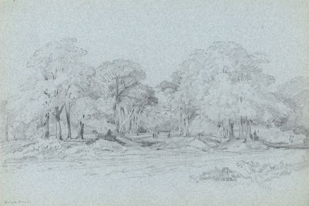 Rev Henry Robinson Wadmore - 19th Century Graphite Drawing, Landscape with Trees