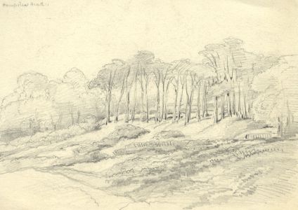 Rev Henry Robinson Wadmore - 19th Century Graphite Drawing, Hampstead Heath