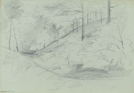 Rev Henry Robinson Wadmore - 19th Century Graphite Drawing, Wooded Landscape