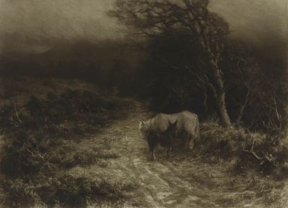 Norman Hirst - Early 20th Century Mezzotint, Ponies on Moorland