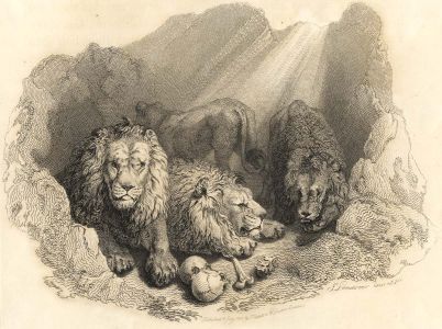 J. Landseer - 1815 Etching, Lions