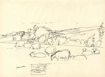 Paul Sharp - Mid 20th Century Pen and Ink Drawing, Sheep in field.
