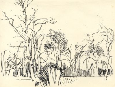 Paul Sharp - Mid 20th Century Pen and Ink Drawing