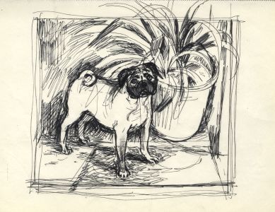 Paul Sharp - Mid 20th Century Pen and Ink Drawing, Dog Study