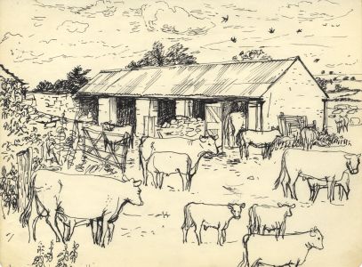 Paul Sharp - Mid 20th Century Pen and Ink Drawing, Cows in the Farmyard