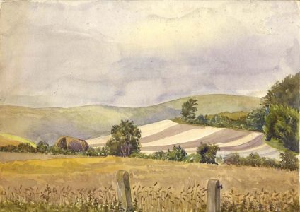 Contemporary Watercolour - Farmed Landscape