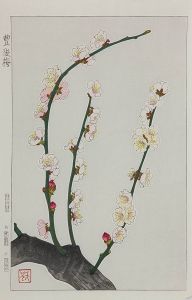 Shodo Kawarazaki - Original Mid 20th Century Japanese Woodblock, Ikebana