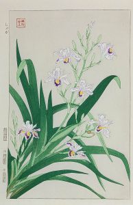 Shodo Kawarazaki - Original Mid 20th Century Japanese Woodblock, Flowers