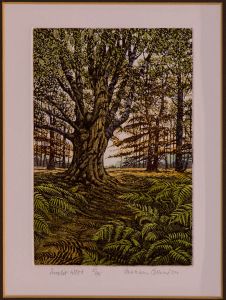Graham Evernden - Mid 20th Century Aquatint, Sunlit Wood