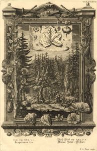 I.G. Pintz - 1735 Engraving, Figures in Landscape, Scheuchzer's 'Physica Sacra'