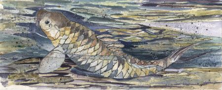 K. Lewis - Contemporary Mixed Media, Koi Carp