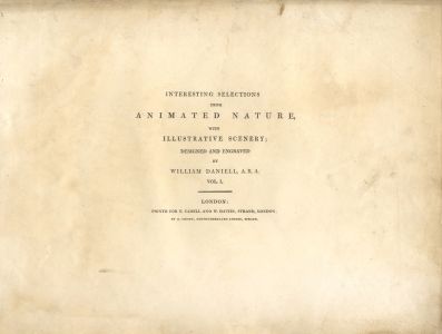 Set of Hand-Coloured Aquatints from 'Animated Nature' by William Daniell, 1809