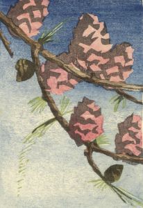 Margaret Romanes - Scottish Mid 20th Century Woodcut, Fir Cones