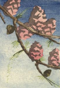 Margaret Romanes - Scottish Mid 20th Century Woodcut, Fir Cones