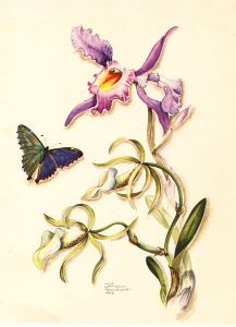 After Mila Lippmann-Pawlowski - Contemporary Digital Print, Floral Study