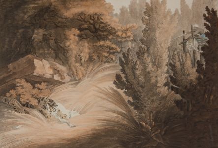 Henri Merke - 1819 Aquatint, Driving a Tiger Out of a Jungle