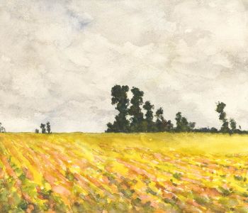 Alexander Brantingham Simpson R.I. - Early 20th Century Watercolour, Wheat Field
