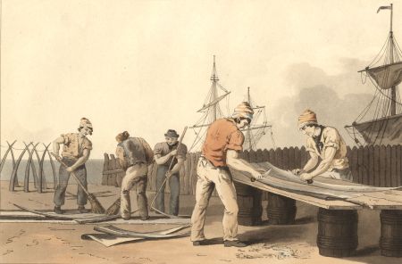 R. & D. Havell After George Walker - 1814 Etching, Whale Bone Scrapers