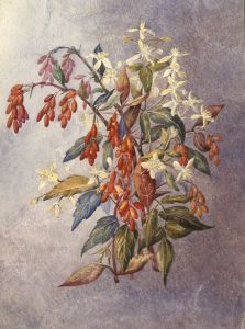 E.H. Lawson - Late 19th Century Watercolour, A Sketch from Nature