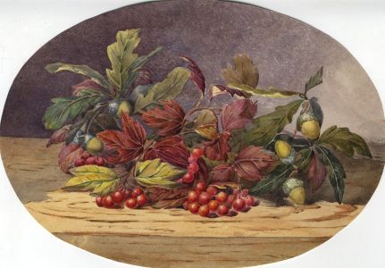 E.H. Lawson - Late 19th Century Watercolour, Acorn Still Life