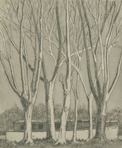 C.A. Hannaford RBA - Mid 20th Century Etching, Willows