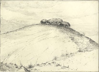 Marcus Adams - Early 20th Century Pen and Ink Drawing, Trees on a Hill