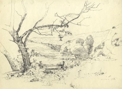 Marcus Adams - Early 20th Century Pen and Ink Drawing, Gate in a Field