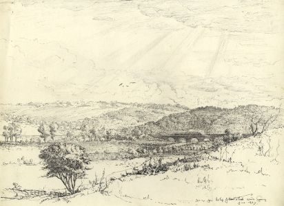 Marcus Adams - 1927 Pen and Ink Drawing, View of the Woods