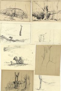 Marcus Adams - Set of 8 Early 20th Century Pen and Ink Drawings, Trees