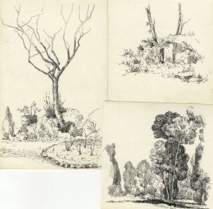 Marcus Adams - Set of Three Mid 20th Century Pen and Ink Drawings, Trees