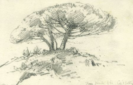 Marcus Adams - Mid 20th Century Graphite Drawing, Tree in a Landscape