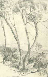 Marcus Adams - Mid 20th Century Graphite Drawing, Trees in a Landscape