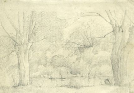 Marcus Adams - Mid 20th Century Graphite Drawing, Trees in a Lake Landscape