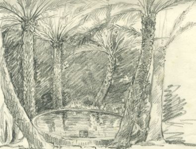 Marcus Adams (1875-1959) - Mid 20th Century Graphite Drawing, Palm Trees