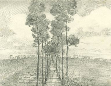 Marcus Adams (1875-1959) - Mid 20th Century Graphite Drawing, Tree Lined Path