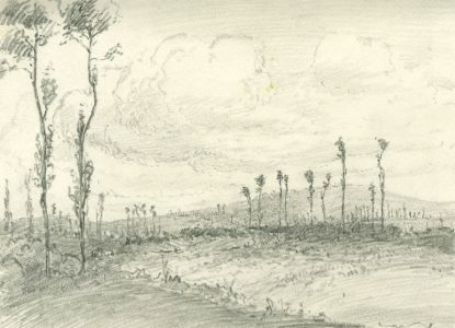 Marcus Adams - Mid 20th Century Graphite Drawing, Landscape with Trees