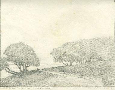 Marcus Adams (1875-1959) - 1925 Graphite Drawing, Antibes Landscape with Trees