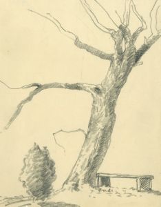 Marcus Adams (1875-1959) - Mid 20th Century Graphite Drawing, Bench Under a Tree