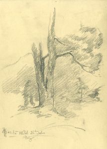 Marcus Adams (1875-1959) - Mid 20th Century Graphite Drawing, Tree