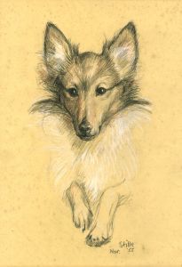 1955 Pastel - Dog Study