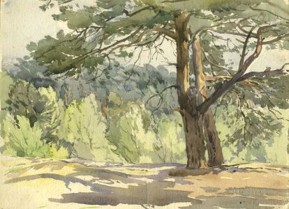 Mid 20th Century Watercolour - Trees in a Landscape