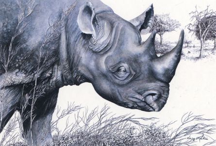 Lucy Makin - 1984 Digital Print, Rhinoceros
