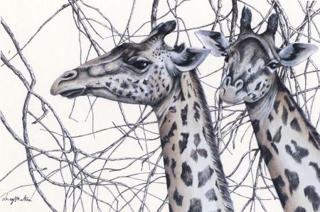 Lucy Makin - 1984 Digital Print, Giraffes