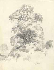 Marcus Adams - Early 20th Century Graphite Drawing, Deciduous Tree